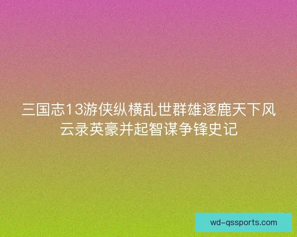 三国志13游侠纵横乱世群雄逐鹿天下风云录英豪并起智谋争锋史记